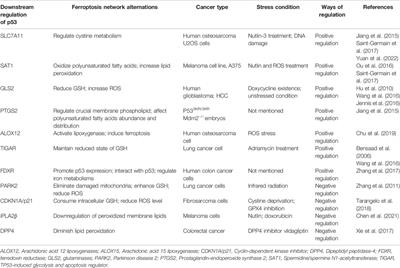 Post-Translational Modifications of p53 in Ferroptosis: Novel Pharmacological Targets for Cancer Therapy